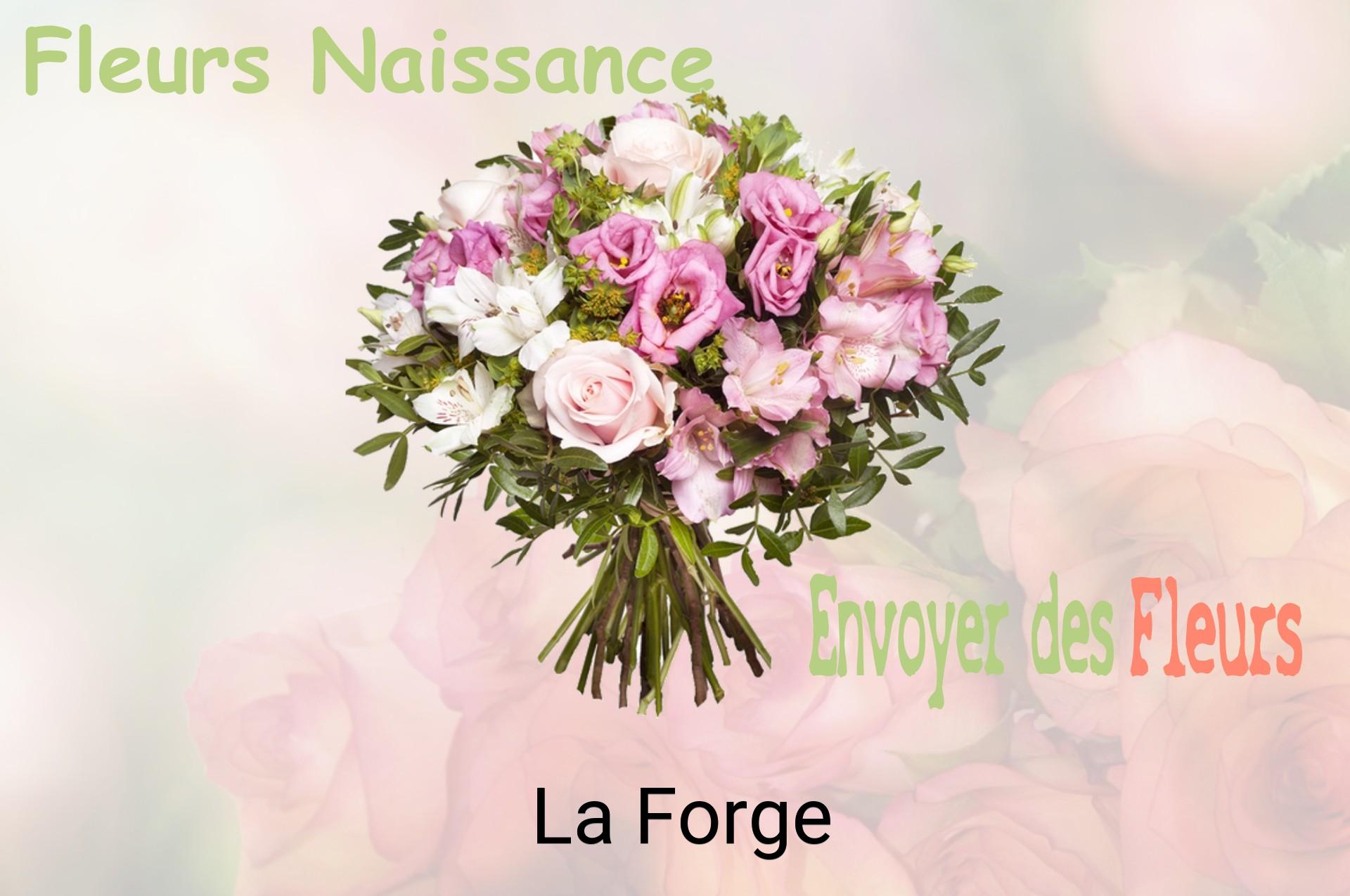 Bouquet de fleurs de naissance livré à La Forge